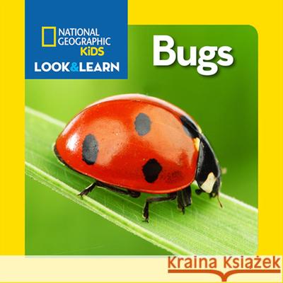 National Geographic Kids Look and Learn: Bugs National Geographic Kids 9781426318764 National Geographic Society