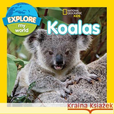 Explore My World Koalas Jill Esbaum 9781426318771 National Geographic Society