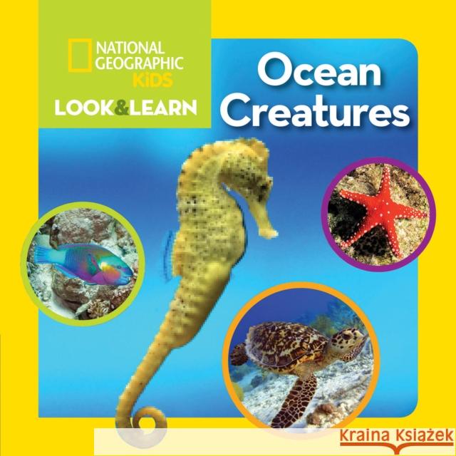 National Geographic Kids Look and Learn: Ocean Creatures National Geographic Kids 9781426320637 National Geographic Society