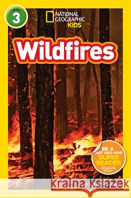 Wildfires Kathy Furgang 9781426321337 National Geographic Society