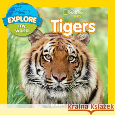 Explore My World: Tigers Jill Esbaum 9781426324260 National Geographic Society