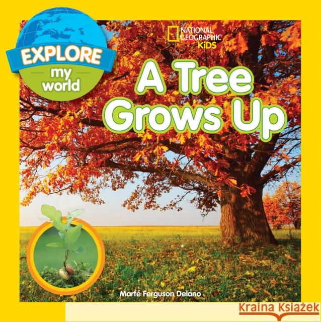 A Tree Grows Up Marfe Ferguson Delano 9781426324291 National Geographic Kids