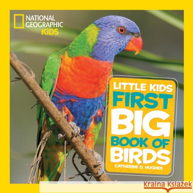 Little Kids First Big Book of Birds National Geographic Kids 9781426324321 National Geographic Kids