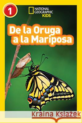 National Geographic Readers: de la Oruga a la Mariposa (Caterpillar to Butterfly) Laura Marsh 9781426324840