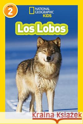 National Geographic Readers: Los Lobos (Wolves) Laura Marsh 9781426324925 National Geographic Society