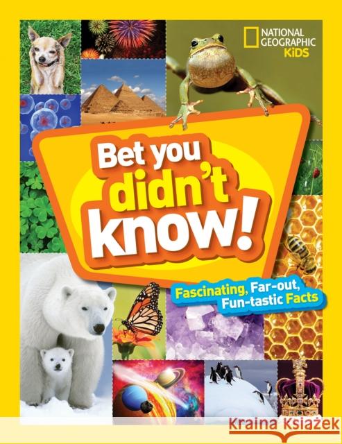 Bet You Didn't Know! National Geographic Kids 9781426328374 National Geographic Society