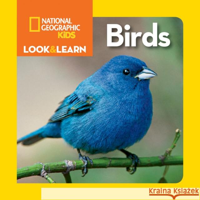 National Geographic Kids Look and Learn: Birds National Geographic Kids 9781426328435