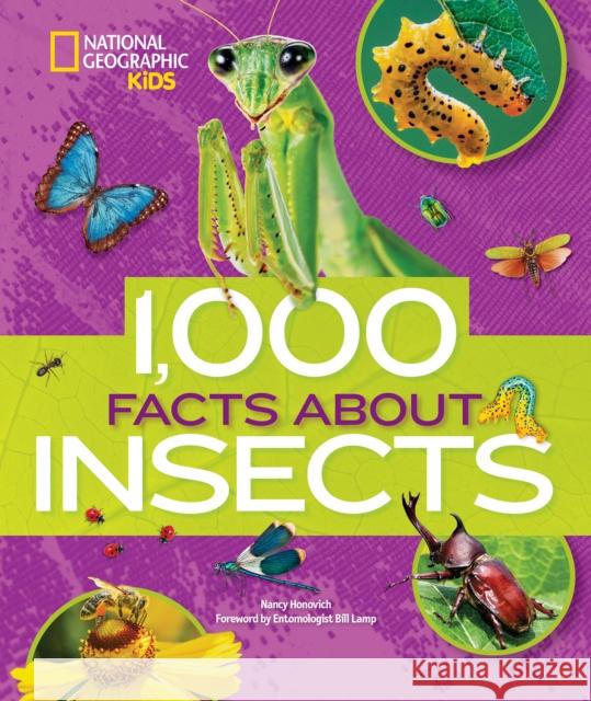 1000 Facts About Insects Nancy Honovich 9781426329937 National Geographic Kids