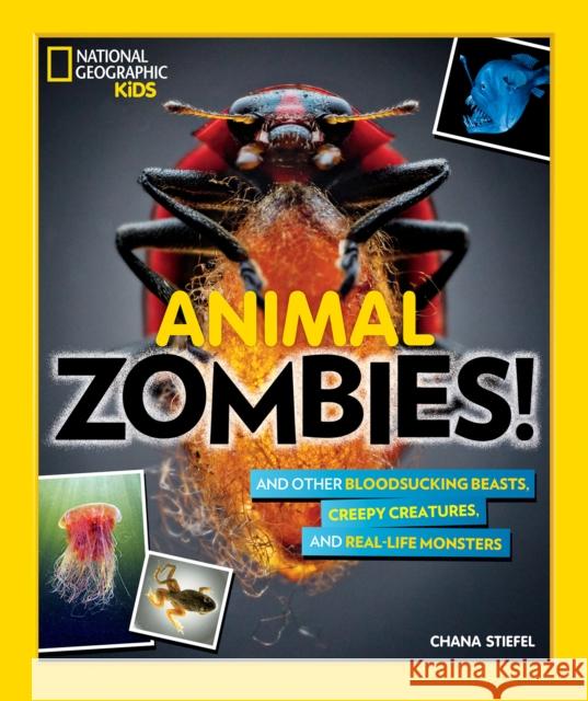 Animal Zombies!: And Other Bloodsucking Beasts, Creepy Creatures, and Real-Life Monsters Chana Steifel 9781426331497 National Geographic Kids