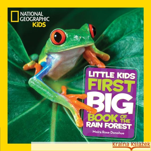 Little Kids First Big Book of The Rainforest Moira Rose Donohue 9781426331718