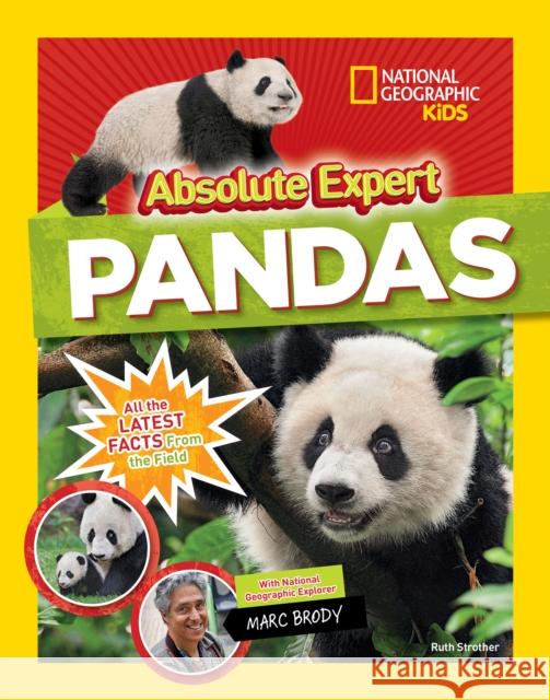 Absolute expert: Pandas Brody, Marc 9781426334313 National Geographic Kids