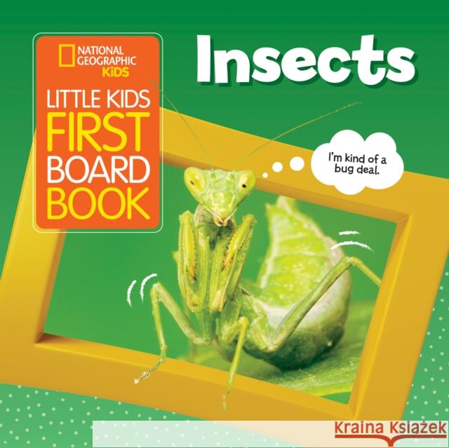 Little Kids First Board Book: Insects Musgrave, Ruth 9781426339028