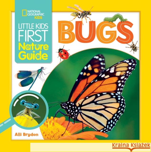 Little Kids First Nature Guide Bugs Alli Brydon 9781426371493 National Geographic Kids