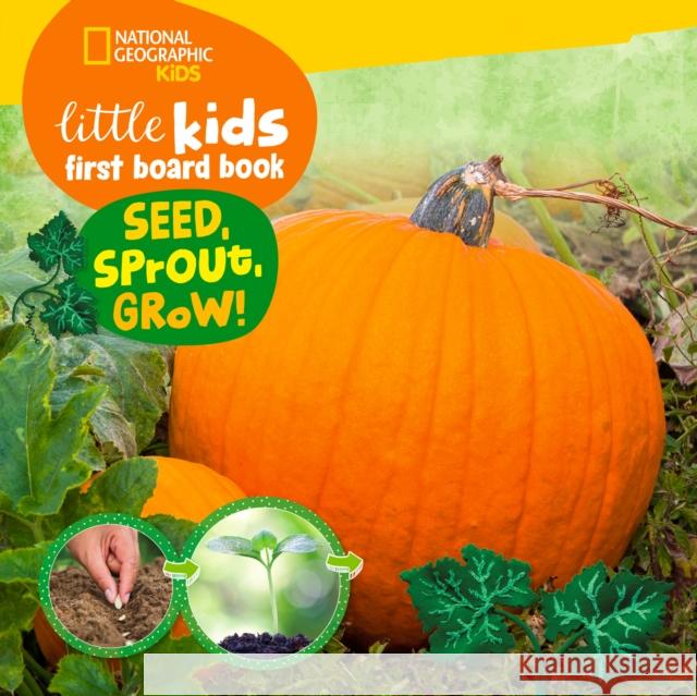 Little Kids First Board Book Seed, Sprout, Grow! Ruth A. Musgrave 9781426373534 National Geographic Kids