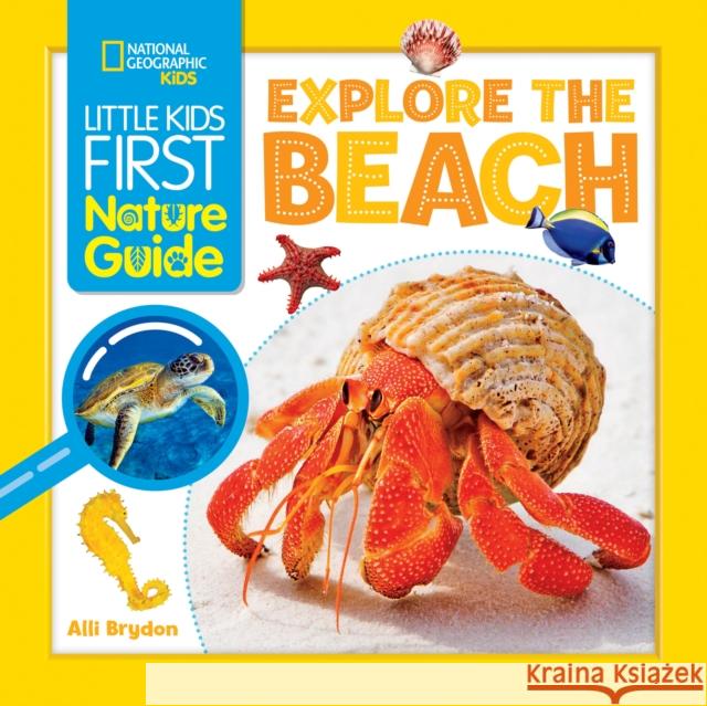 Explore the Beach National Geographic KIds 9781426373688 National Geographic Kids
