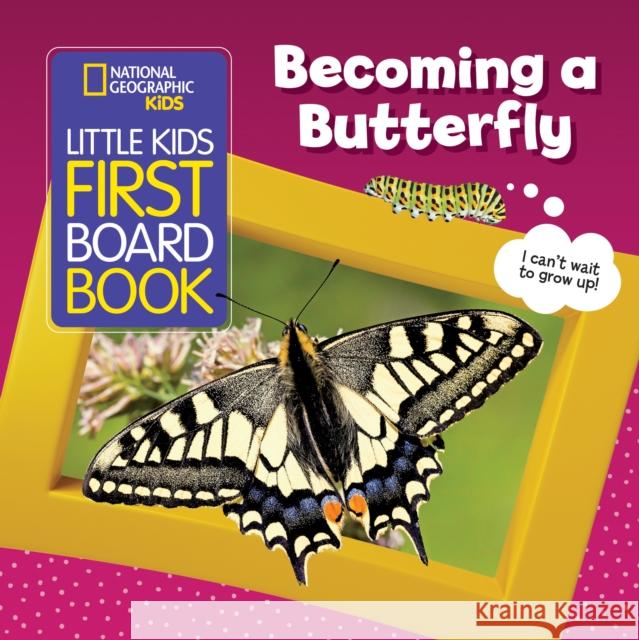 Little Kids First Board Book: Becoming a Butterfly Musgrave, Ruth 9781426374128 National Geographic Kids