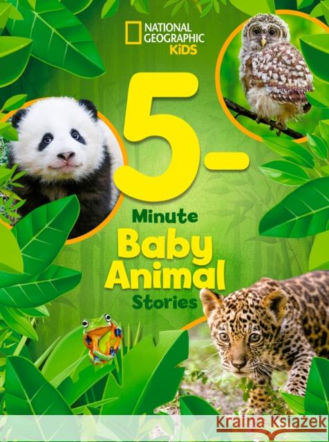 National Geographic Kids 5-Minute Baby Animal Stories National Geographic KIds 9781426374791 National Geographic Kids