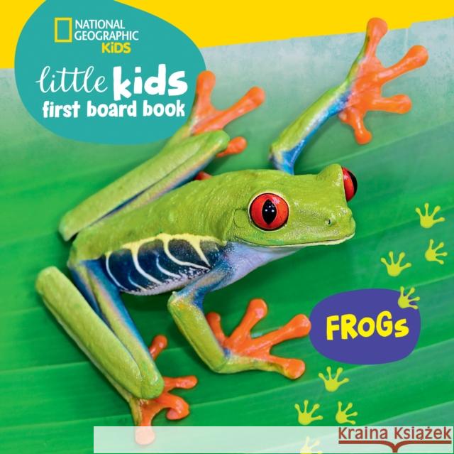 Little Kids First Board Book: Frogs Ruth Musgrave 9781426375361 National Geographic Kids