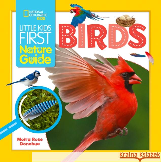 Little Kids First Nature Guide Birds Moira Rose Donohue 9781426375392 National Geographic Kids