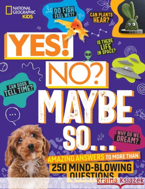 Yes! No? Maybe So...: Amazing Answers to More Than 250 Mind-Blowing Questions Julie Beer Paige Towler 9781426375736 National Geographic Kids