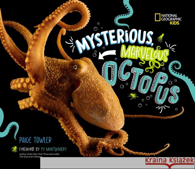 Mysterious, Marvelous Octopus! Paige Towler 9781426376672 National Geographic Kids