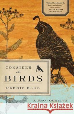 Consider the Birds: A Provocative Guide to Birds of the Bible Debbie Blue 9781426749506 Abingdon Press