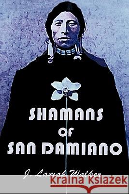 Shamans of San Damiano J. Lamah Walker 9781426941320 Trafford Publishing