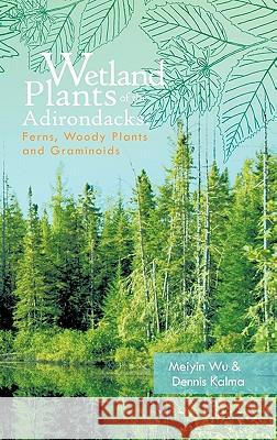 Wetland Plants of the Adirondacks: Ferns, Woody Plants, and Graminoids Wu, Meiyin 9781426960574 Trafford Publishing