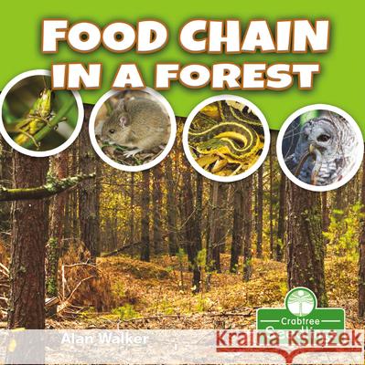 Food Chain in a Forest Alan Walker 9781427130334 Crabtree Seedlings