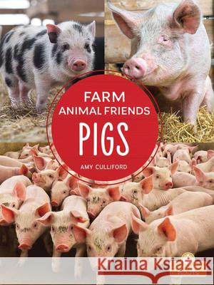 Pigs Amy Culliford 9781427132499