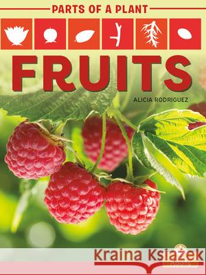 Fruits Alicia Rodriguez 9781427140654