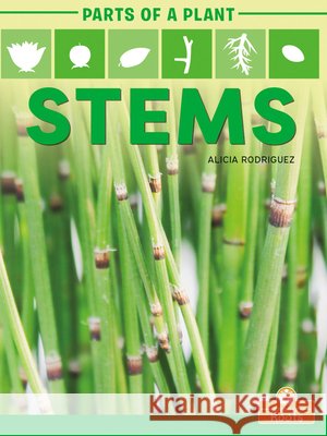 Stems Alicia Rodriguez 9781427140692