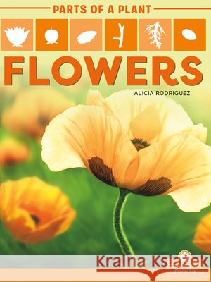 Flowers Alicia Rodriguez 9781427140708