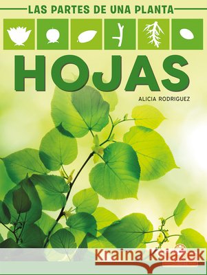 Hojas (Leaves) Rodriguez, Alicia 9781427140968