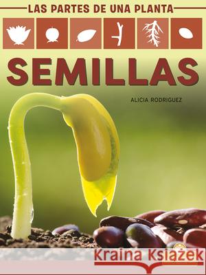 Semillas (Seeds) Rodriguez, Alicia 9781427140982