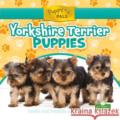 Yorkshire Terrier Puppies David Armentrout Patricia Armentrout 9781427157881 Crabtree Seedlings