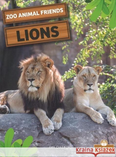 Lions Amy Culliford 9781427160423