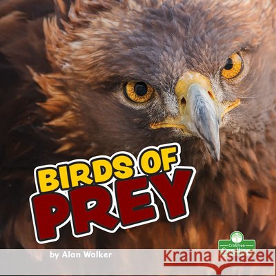 Birds of Prey Alan Walker 9781427161253