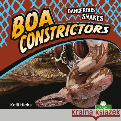 Boa Constrictors Kelli Hicks 9781427162380