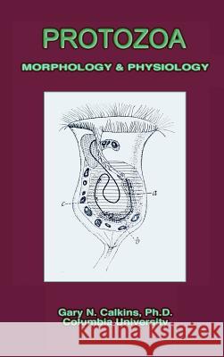 Protozoa Morphology & Physiology (Microbiology Series) Gary N. Calkins 9781427615732 Wexford College Press