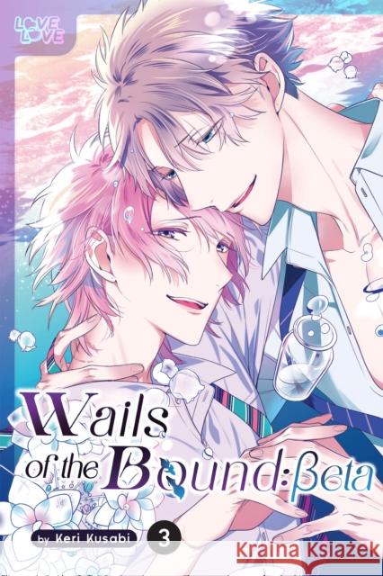 Wails of the Bound: Beta, Volume 3 Keri Kusabi 9781427880734
