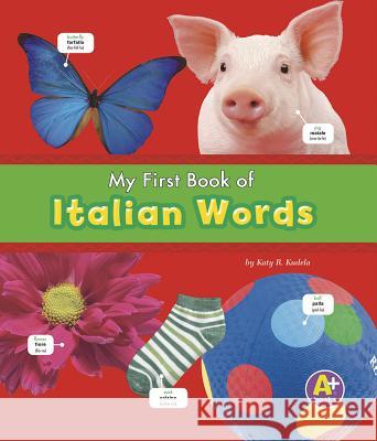 My First Book of Italian Words Katy R. Kudela 9781429661591 