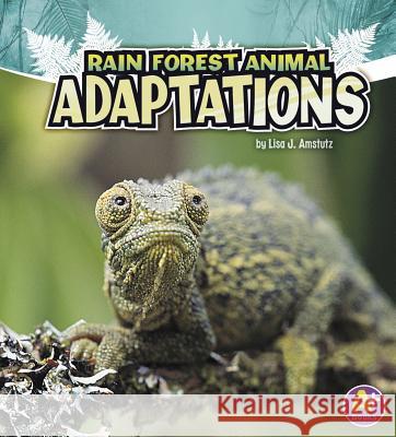 Rain Forest Animal Adaptations Lisa J. Amstutz 9781429670340 Capstone Press