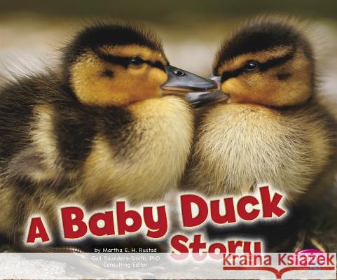 A Baby Duck Story Martha E. H. Rustad 9781429670913