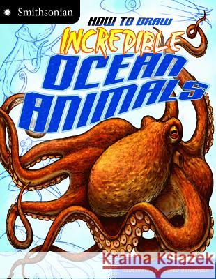 How to Draw Incredible Ocean Animals Kristen McCurry Jared Osterhold 9781429699402 Capstone Press