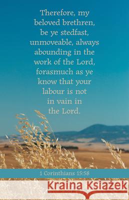 Be Ye Stedfast Bulletin (Pkg 100) General Worship  9781430084600 Broadman Church Supplies