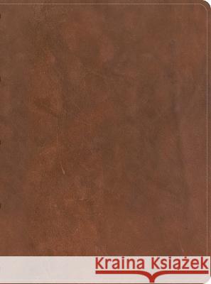 CSB Men's Daily Bible, Brown Genuine Leather, Indexed Robert Wolgemuth Csb Bibles by Holman 9781430094111 Holman Bibles