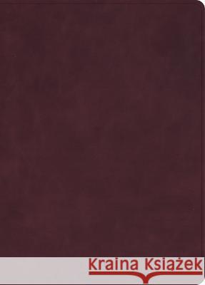 CSB Verse-By-Verse Reference Bible, Holman Handcrafted Collection, Marbled Burgundy Premium Calfskin Csb Bibles by Holman 9781430094548 Holman Bibles