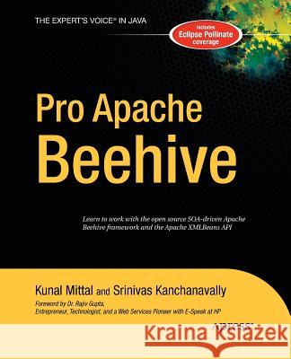 Pro Apache Beehive Srinivas Kanchanavally Kunal Mittal  9781430211891 Apress