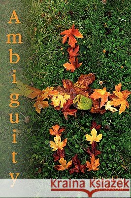 Ambiguity AJ Saxon 9781430302872
